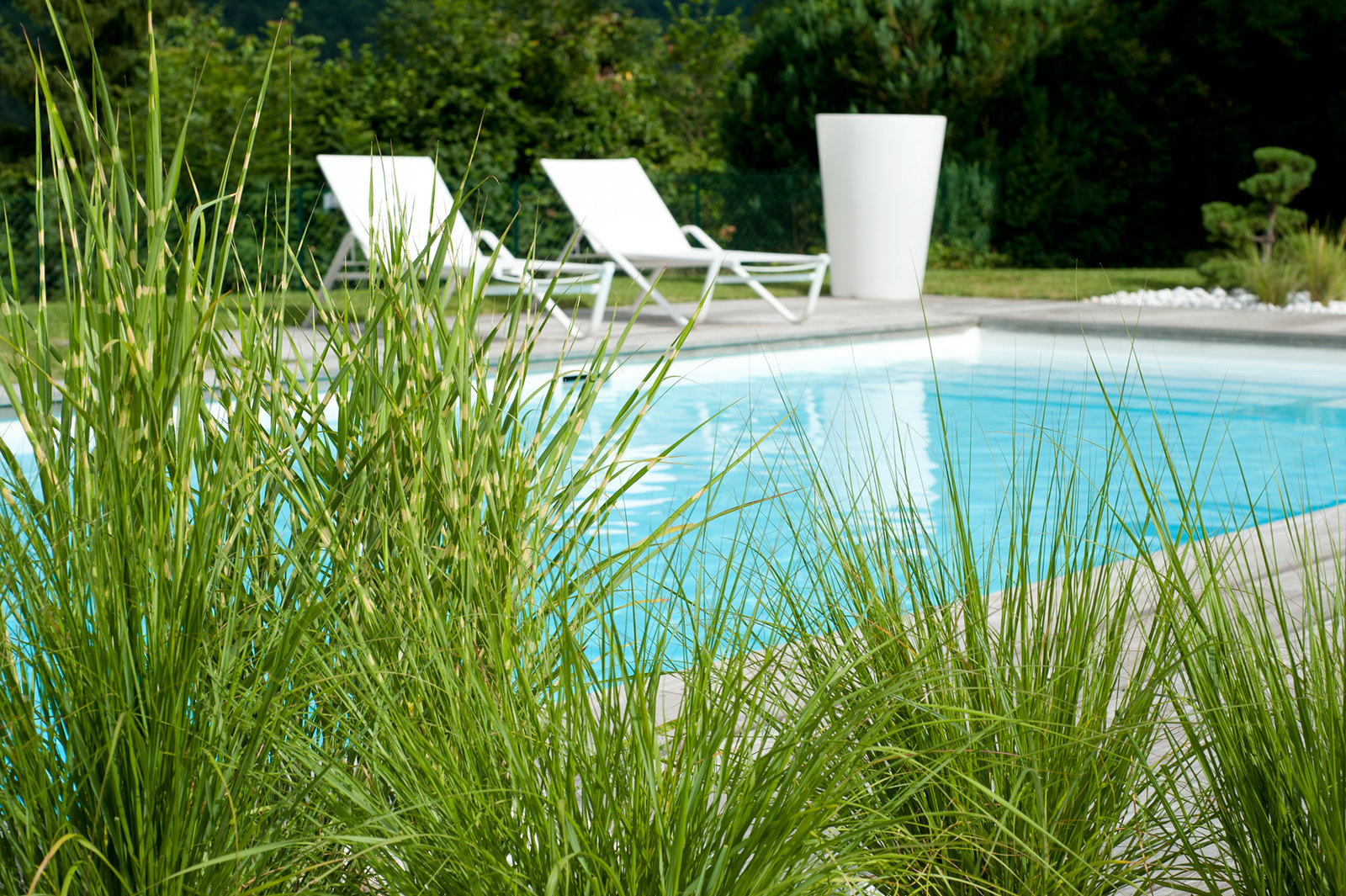 Varioplant Desjoyaux Pool mit Schilf